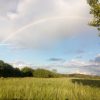 Link to https://leseservice-volxbibel-blog.nuding-net.de